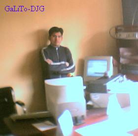 galito-djg.jpg